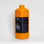 Siro Việt Quất (2L)