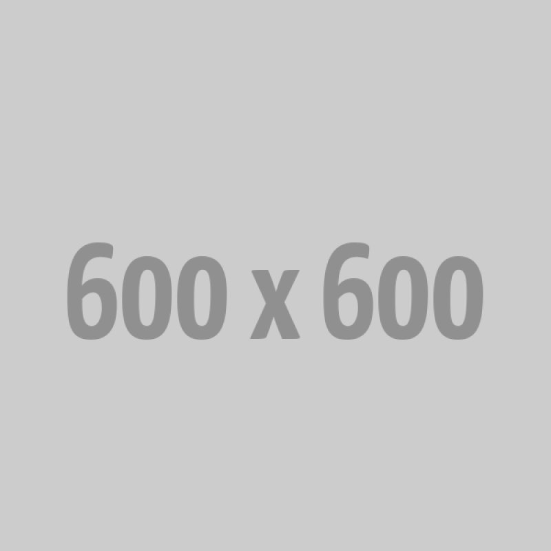 Máy pha trà sữa Boduo BD-TS90