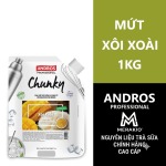 ANDROS PROFESSIONAL CHUNKY XÔI XOÀI TÚI 1KG - CHUNKY STICKY RICE MANGO